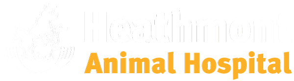 Heathmont Animal Hospital